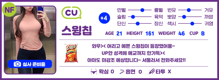 +4 스윙칩
