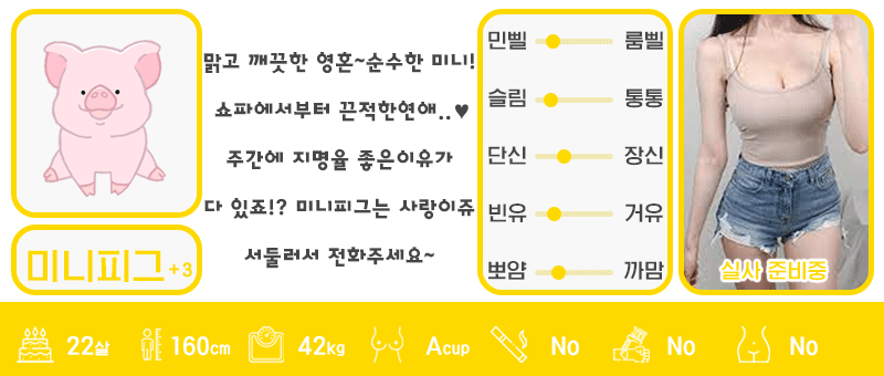 +3 미니피그