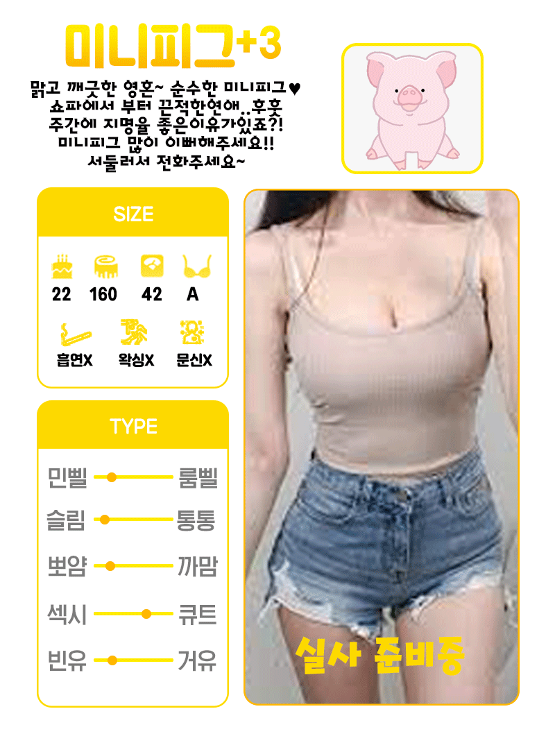 +3 미니피그