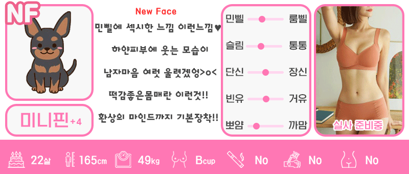 +4 미니핀