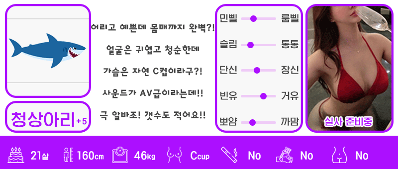 +5 청상아리