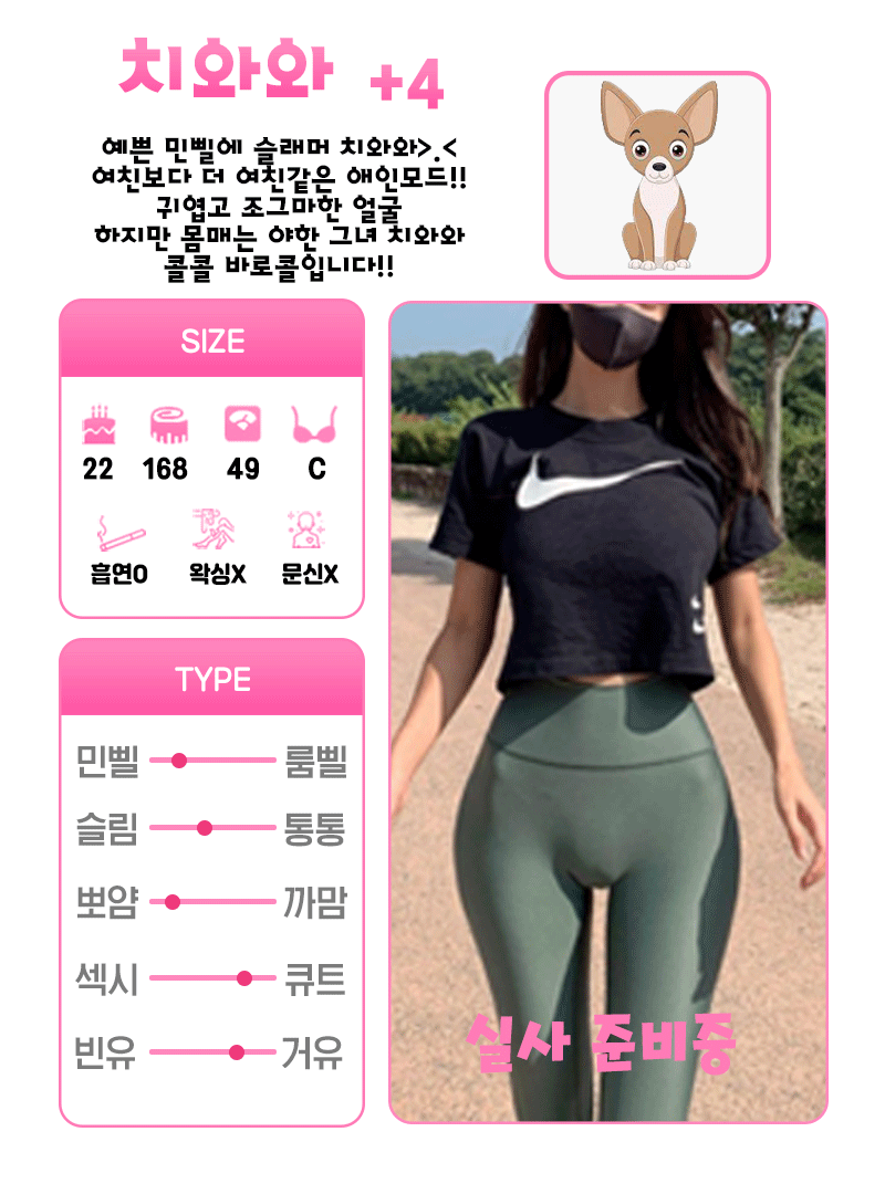 +4 치와와