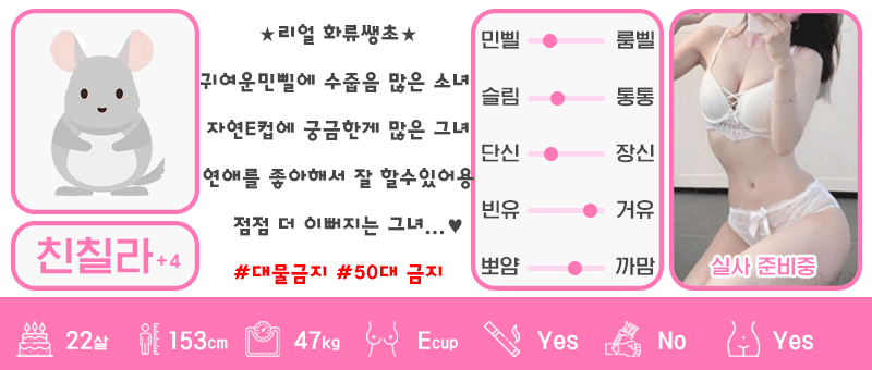 +4 친칠라