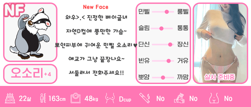 +4 오소리