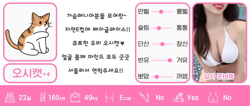 +4 오시캣