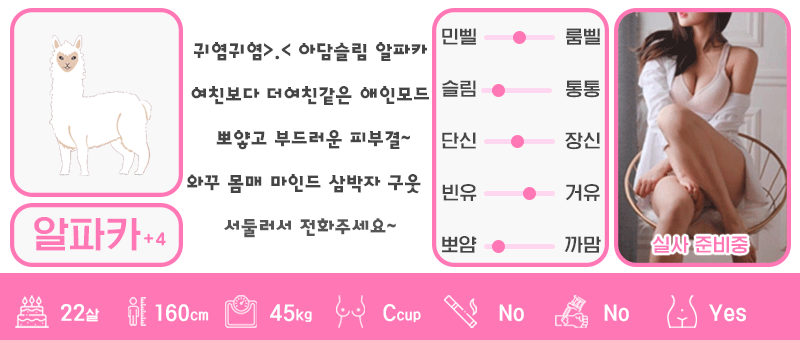 +4 알파카
