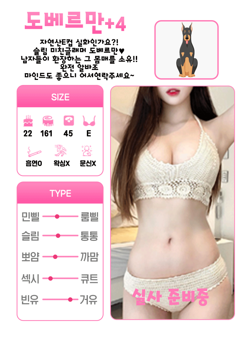 +4 도베르만