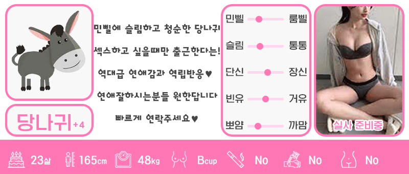 +4 당나귀