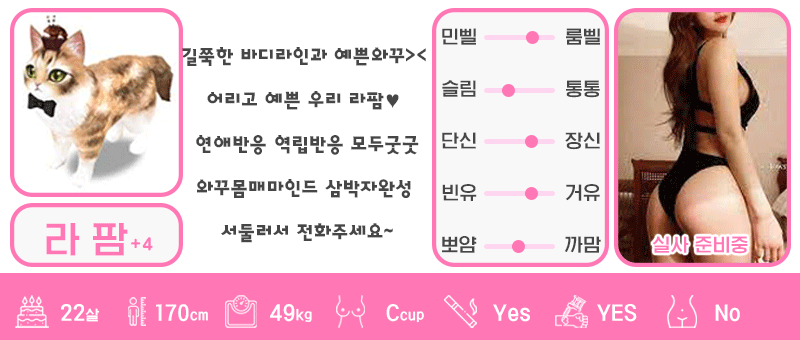 +4 라팜