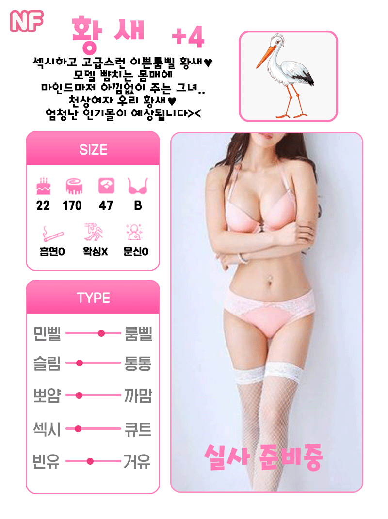 +4 황새