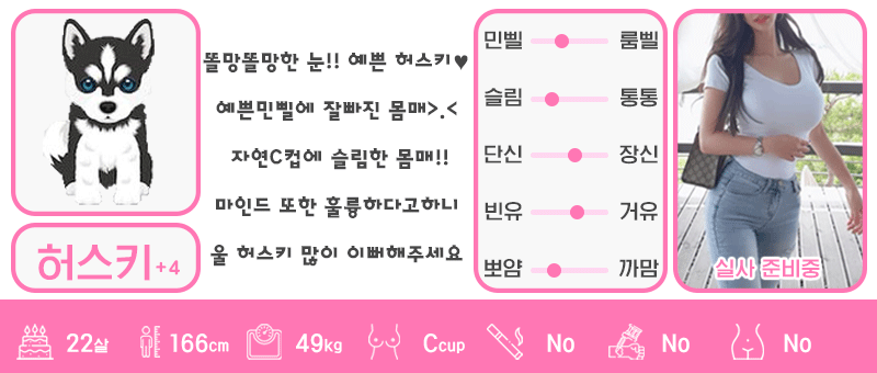 +4 허스키
