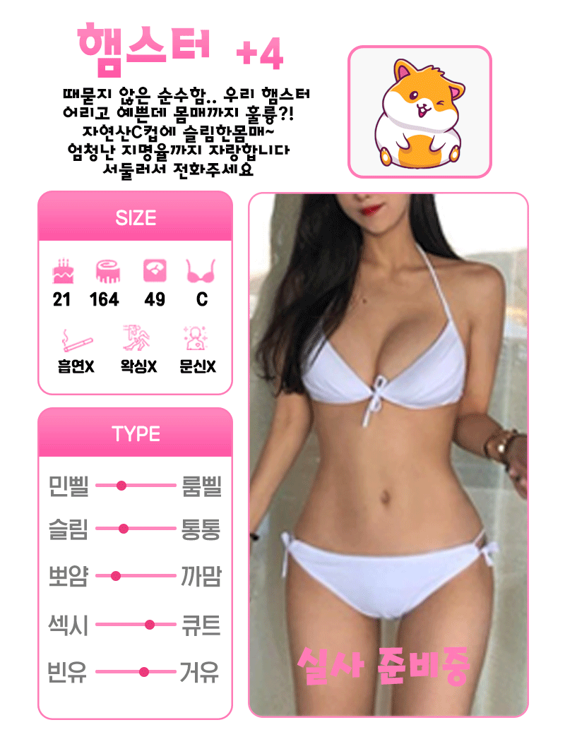 +4 햄스터