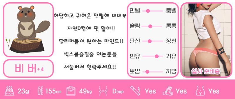 +4 비버