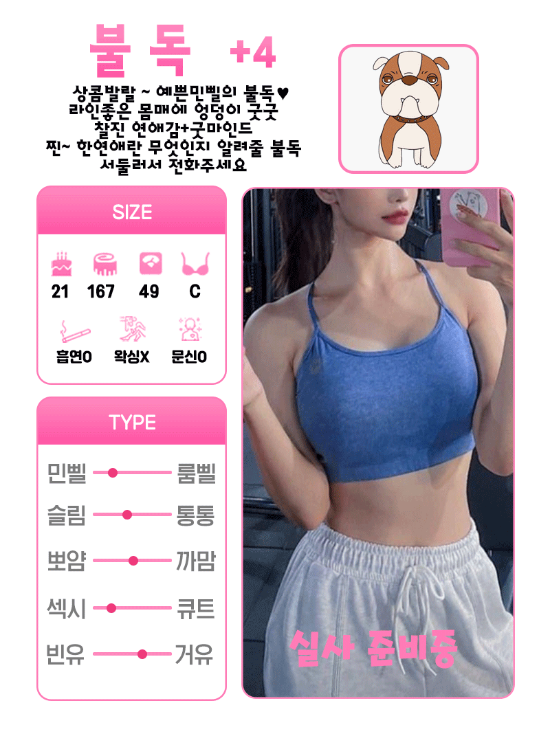 +4 불독
