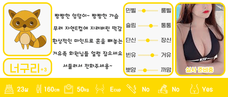 +3 너구리