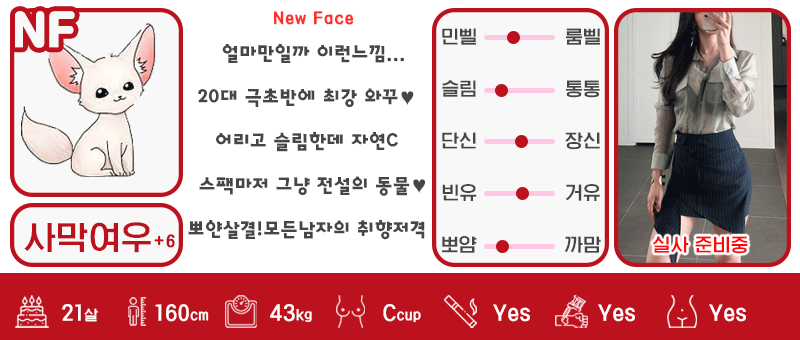 +6 사막여우