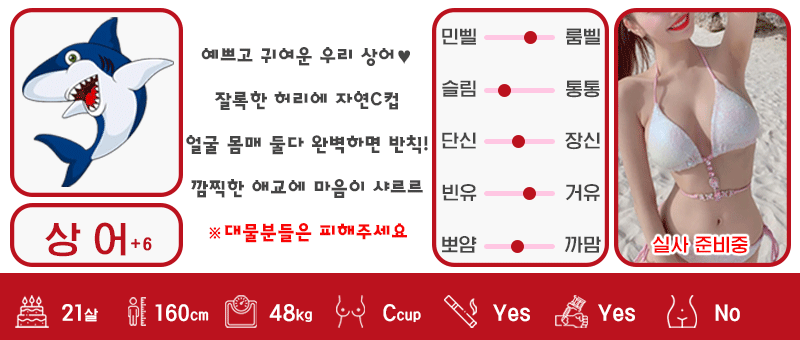+6 상어 