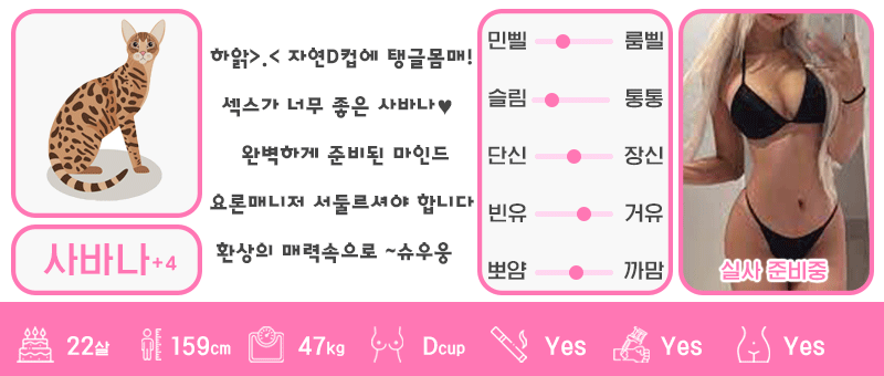 +4 사바나