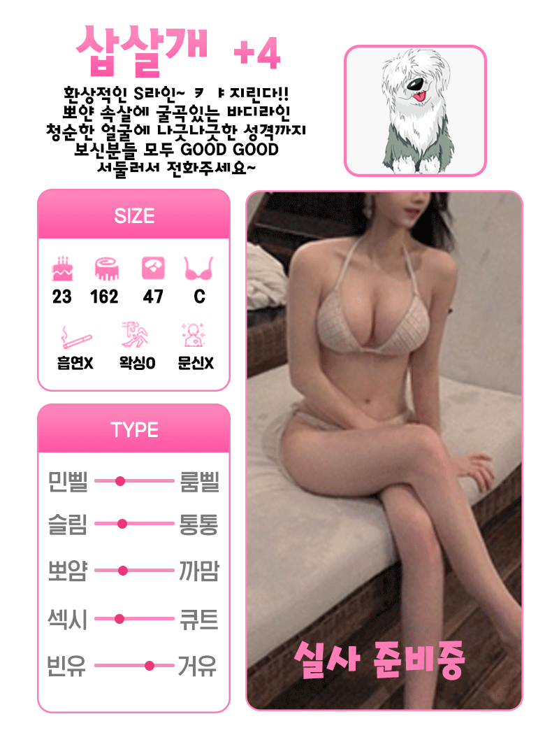 +4 삽살개
