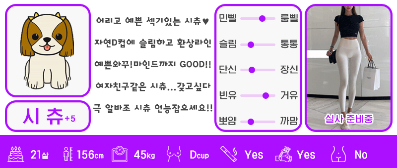 +4 시츄
