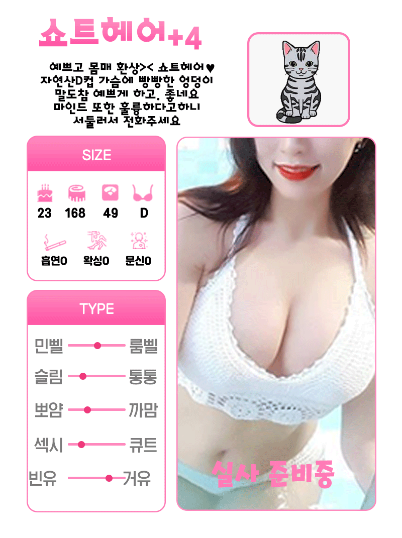 +4 쇼트헤어