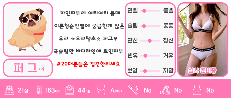 +4 퍼그