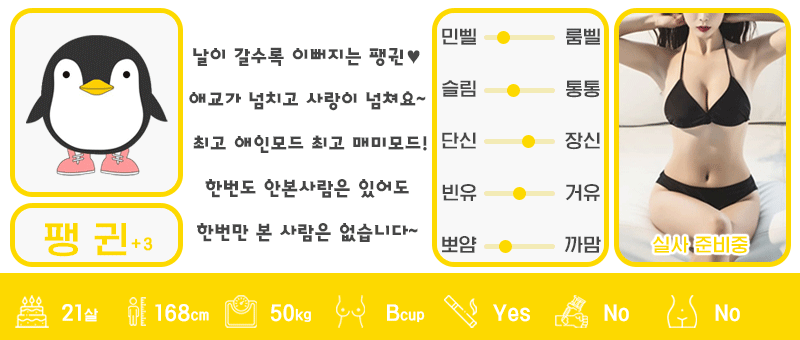 +3 팽귄