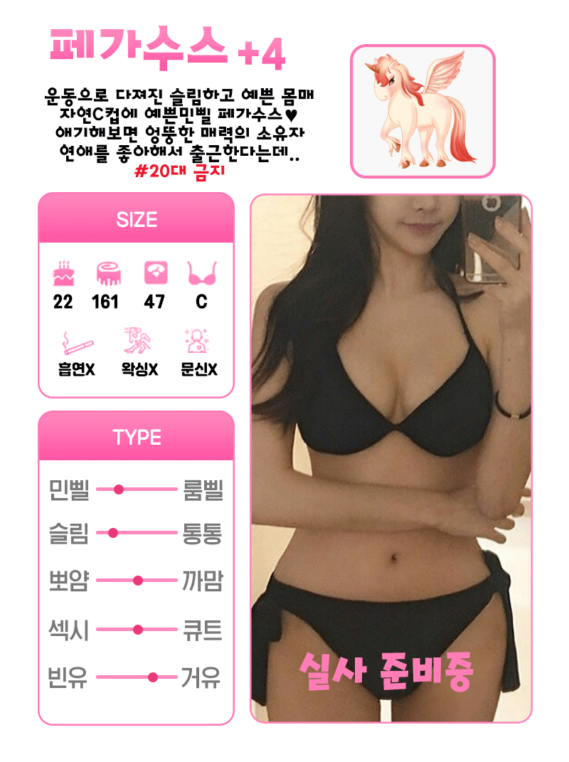 +4 페가수스