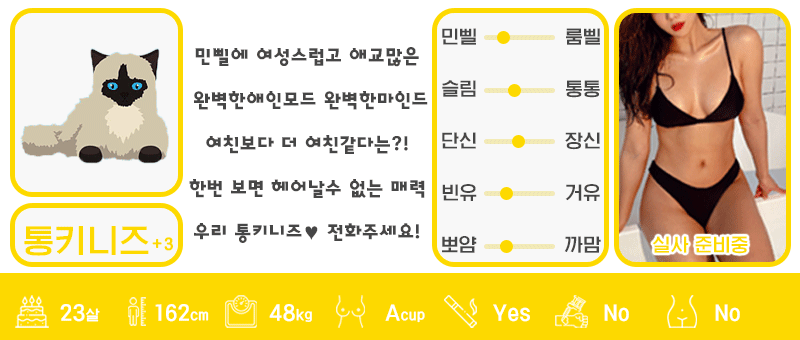 +3 통키니즈