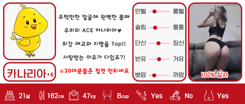 +6 카나리아 