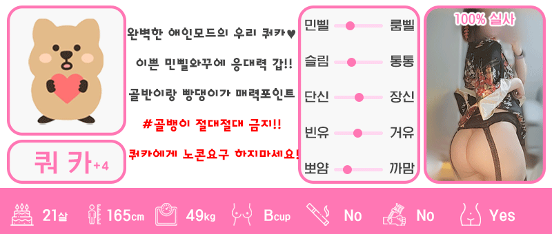 +4 쿼카