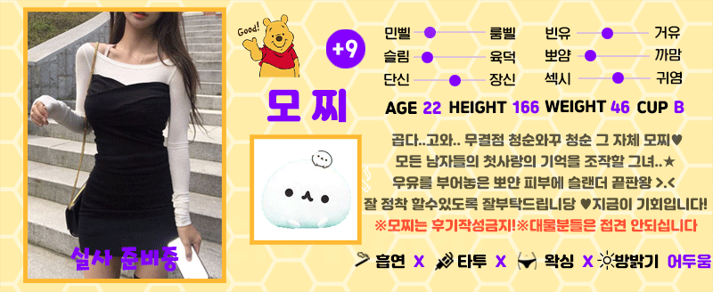 +9 모찌(백지헌)