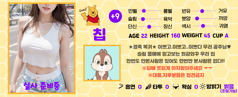 +9 칩(덕선이)