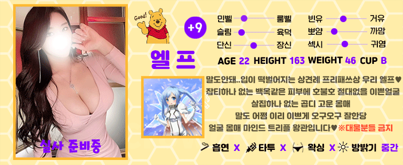 +9 엘프(한그루)