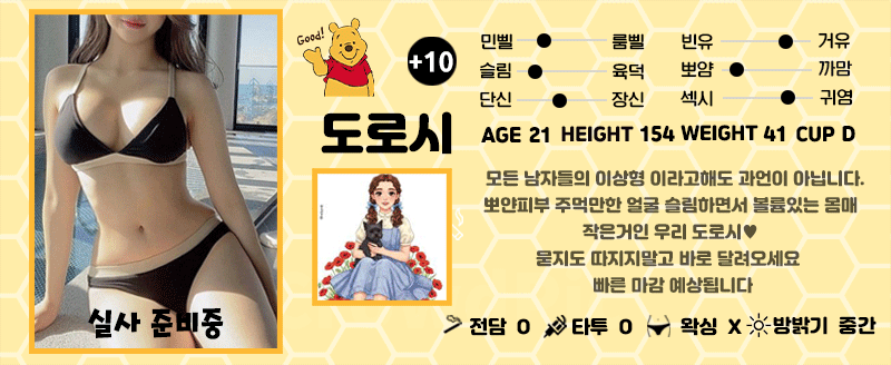 +10 도로시(가인)