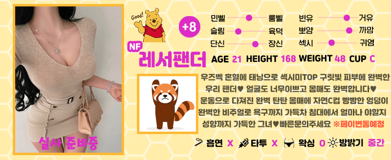 +8 레서팬더(효린)