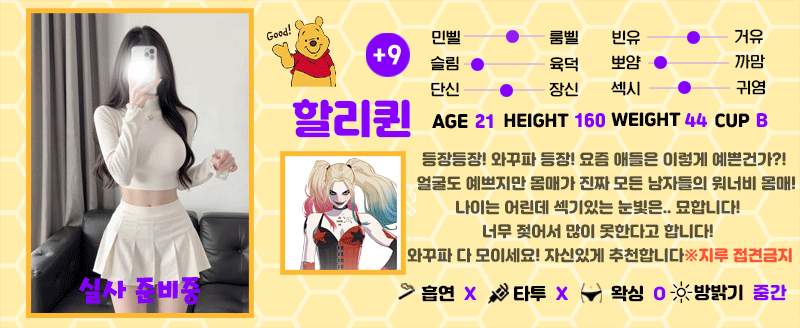+9 할리퀸(나나)