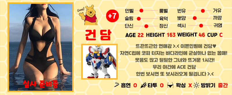 +7 건담(오예스)