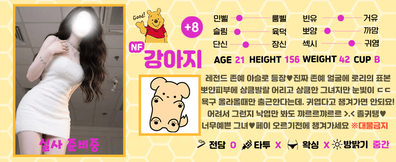 +8 강아지(은교)