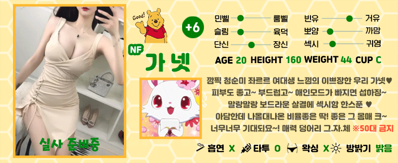 +6 가넷(슈슈)