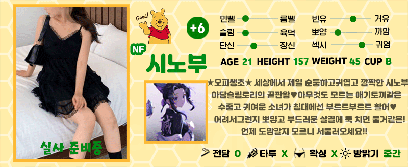 +6 시노부(이안)