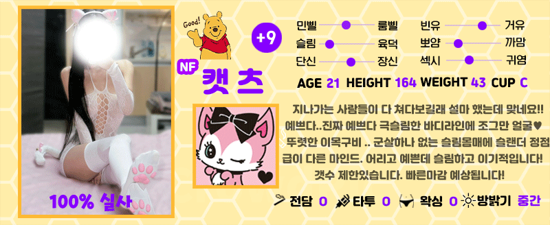 +9 캣츠(야옹)